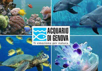 acquario-di-genova